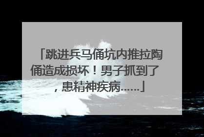 跳进兵马俑坑内推拉陶俑造成损坏！男子抓到了，患精神疾病……
