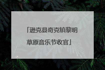 逊克县奇克镇黎明草原音乐节收官