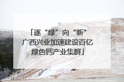 逐“绿”向“新” 广西兴业加速建设百亿绿色钙产业集群