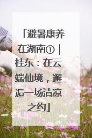 避暑康养在湖南①｜桂东：在云端仙境，邂逅一场清凉之约
