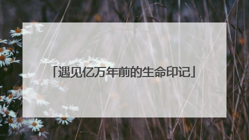 遇见亿万年前的生命印记