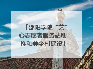 邵阳学院“艺”心志愿者服务站助推和美乡村建设