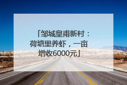 邹城皇甫新村：荷塘里养虾，一亩增收6000元