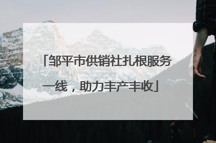 邹平市供销社扎根服务一线，助力丰产丰收