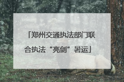 郑州交通执法部门联合执法“亮剑”暑运