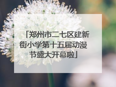 郑州市二七区建新街小学第十五届动漫节盛大开幕啦