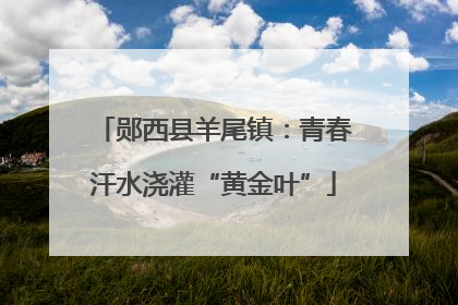 郧西县羊尾镇：青春汗水浇灌“黄金叶”