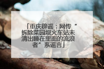重庆辟谣：网传“拆除菜园坝火车站未清出睡在里面的流浪者”系谣言