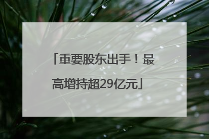 重要股东出手！最高增持超29亿元