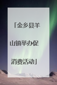 金乡县羊山镇举办促消费活动
