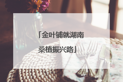 金叶铺就湖南桑植振兴路