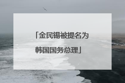 金民锡被提名为韩国国务总理