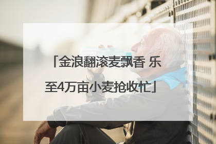 金浪翻滚麦飘香 乐至4万亩小麦抢收忙