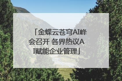 金蝶云苍穹AI峰会召开 各界热议AI赋能企业管理