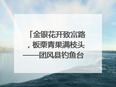 金银花开致富路，板栗青果满枝头——团风县钓鱼台村“山水生金”谱写共富新篇章