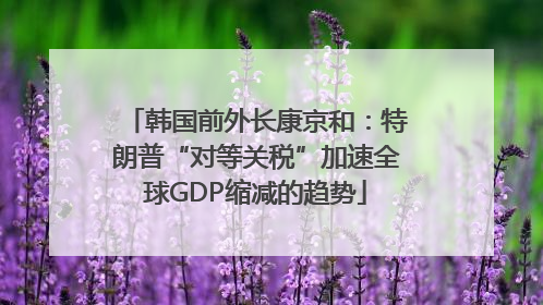 韩国前外长康京和：特朗普“对等关税”加速全球GDP缩减的趋势