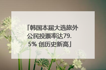 韩国本届大选旅外公民投票率达79.5% 创历史新高