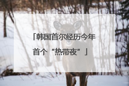 韩国首尔经历今年首个“热带夜”
