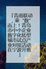 青甬联动，乘“数”而上！青岛市中小企业数字化转型城市试点产业对接活动在宁波开班