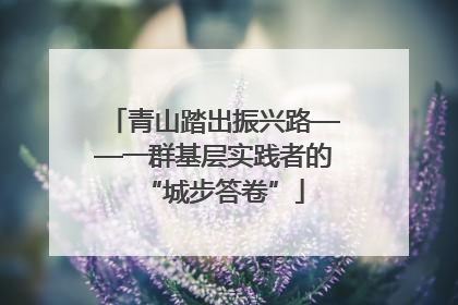 青山踏出振兴路——一群基层实践者的“城步答卷”