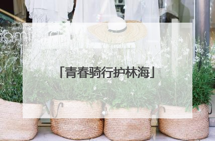青春骑行护林海