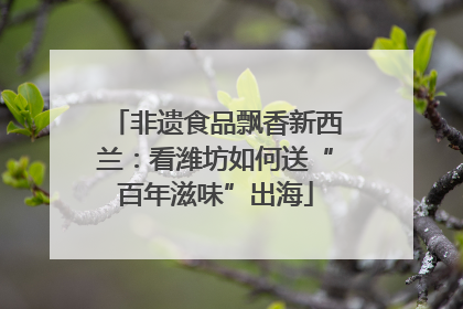 非遗食品飘香新西兰：看潍坊如何送“百年滋味”出海