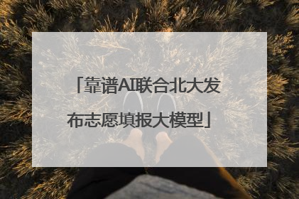 靠谱AI联合北大发布志愿填报大模型