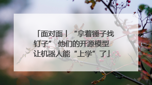 面对面丨“拿着锤子找钉子” 他们的开源模型让机器人能“上学”了