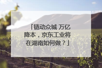 链动众城 万亿降本，京东工业将在湖南如何做？