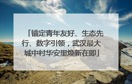 锚定青年友好、生态先行、数字引领，武汉最大城中村华安里焕新在即