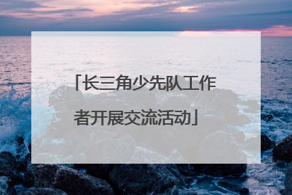 长三角少先队工作者开展交流活动