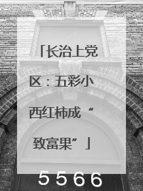 长治上党区：五彩小西红柿成“致富果”