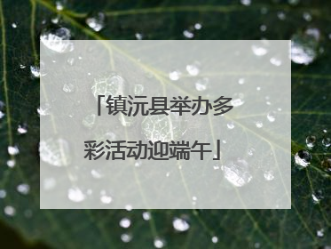 镇沅县举办多彩活动迎端午
