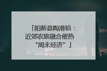 阳新县陶港镇：近郊农旅融合催热“周末经济”