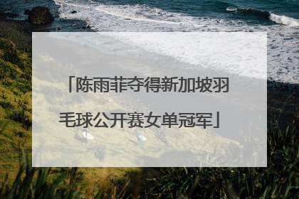 陈雨菲夺得新加坡羽毛球公开赛女单冠军