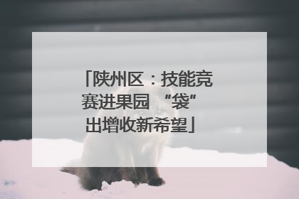 陕州区：技能竞赛进果园 “袋”出增收新希望