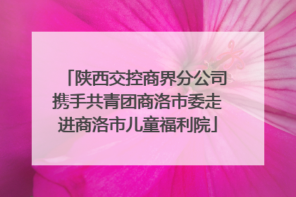 陕西交控商界分公司携手共青团商洛市委走进商洛市儿童福利院