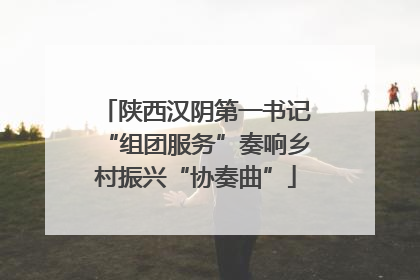 陕西汉阴第一书记“组团服务”奏响乡村振兴“协奏曲”