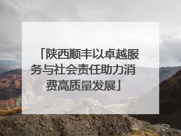 陕西顺丰以卓越服务与社会责任助力消费高质量发展