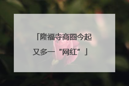 隆福寺商圈今起又多一“网红”