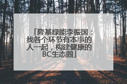 隆基绿能李振国：找各个环节有本事的人一起，构建健康的BC生态圈