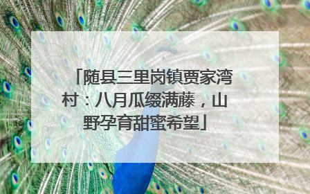 随县三里岗镇贾家湾村：八月瓜缀满藤，山野孕育甜蜜希望