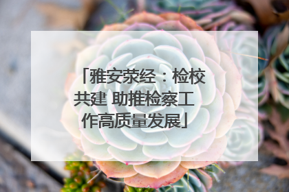 雅安荥经：检校共建 助推检察工作高质量发展