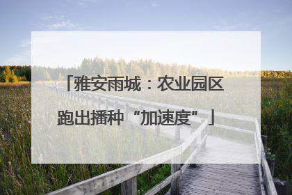雅安雨城：农业园区跑出播种“加速度”