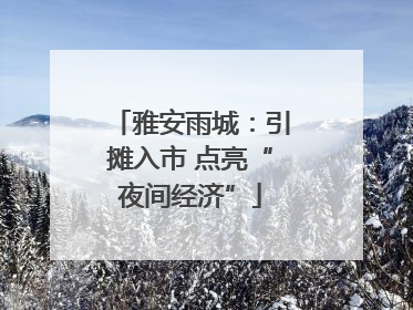 雅安雨城：引摊入市 点亮“夜间经济”