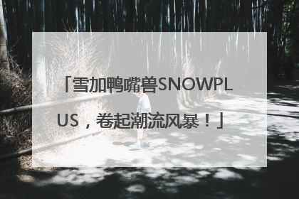 雪加鸭嘴兽SNOWPLUS，卷起潮流风暴！