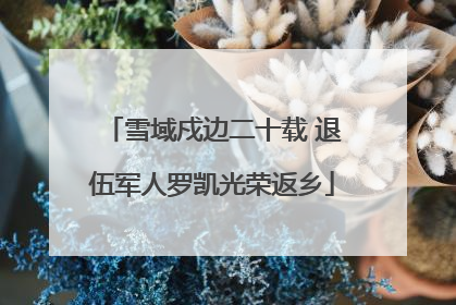 雪域戍边二十载 退伍军人罗凯光荣返乡