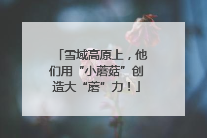 雪域高原上，他们用“小蘑菇”创造大“蘑”力！