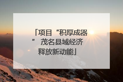 项目“积厚成器” 茂名县域经济释放新动能