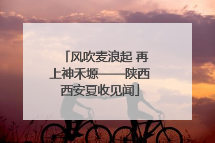 风吹麦浪起 再上神禾塬——陕西西安夏收见闻